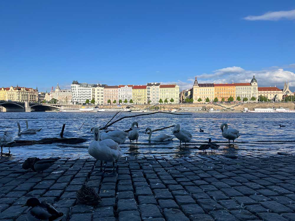 A view of the Vlatava River